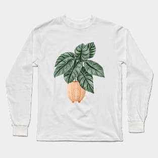 Alocasia Silver Dragon Illustration 2 Long Sleeve T-Shirt